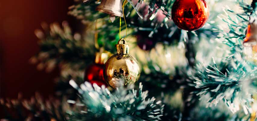 نکاتی برای خرید درخت کاج کریسمس